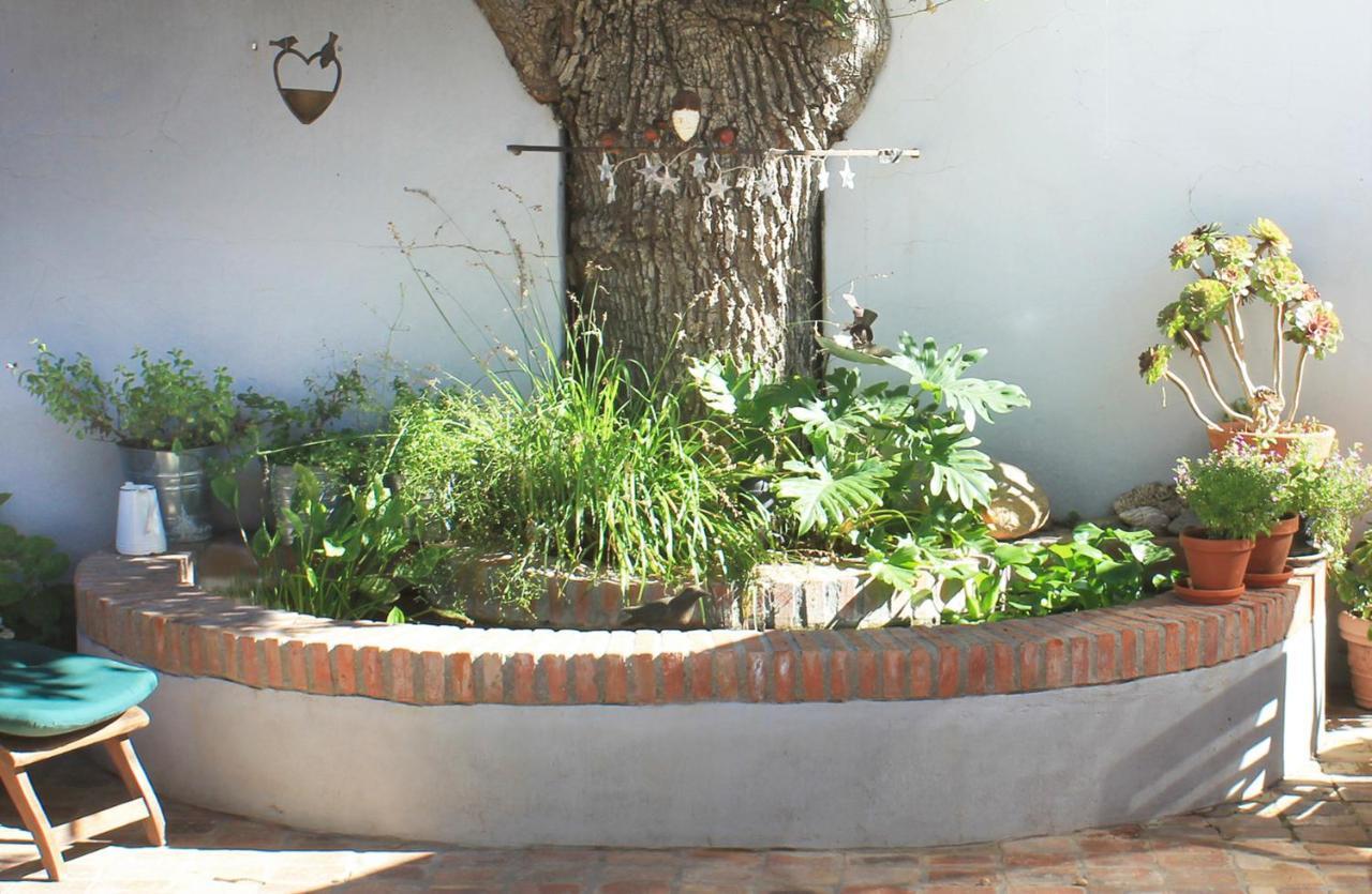 Himmelblau Boutique Bed And Breakfast Cape Town Exterior foto